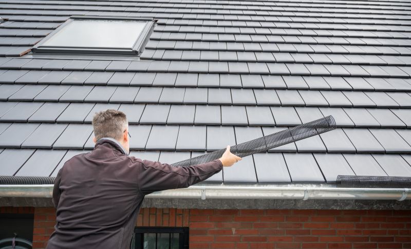 Specialized Gutter Protection Providers