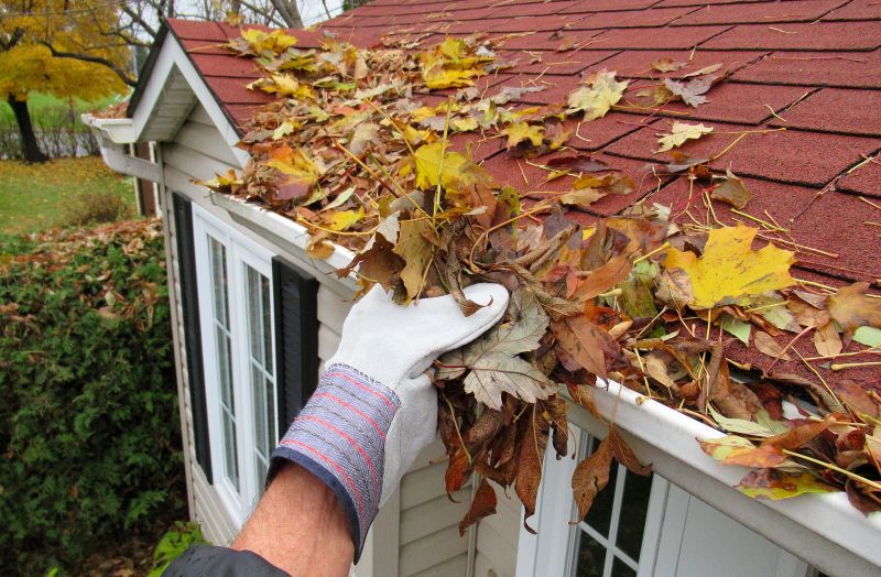 When to Schedule Gutter Service